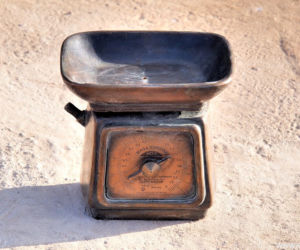 Waga domowa WD-2