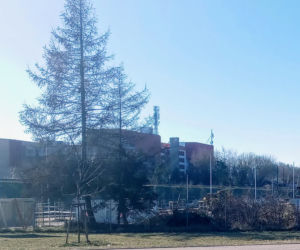 Likwidacja działek przy ul. Arkońskiej