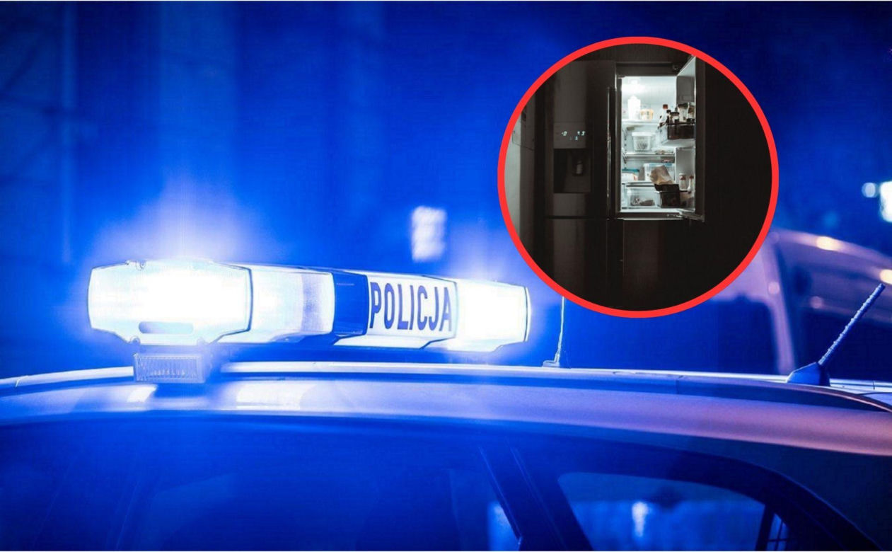 Martwy płód w zamrażarce. Policjanci dokonali makabrycznego odkrycia w Wąbrzeźnie