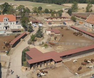 Fundacja Centaurus błaga o pomoc