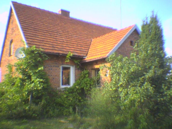 Dom pod królikiem - przed remontem