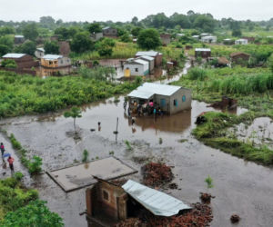 Krokodyle i hipopotamy na ulicach! Władze ostrzegają
