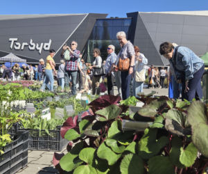Bydgoszcz rozkwitła na nowo. Wiosenny Kiermasz Ogrodniczy przyciągnął tłumy