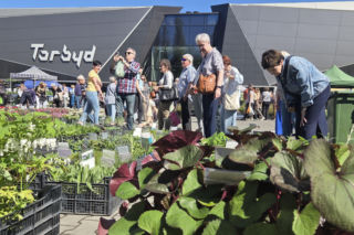 Bydgoszcz rozkwitła na nowo. Wiosenny Kiermasz Ogrodniczy przyciągnął tłumy