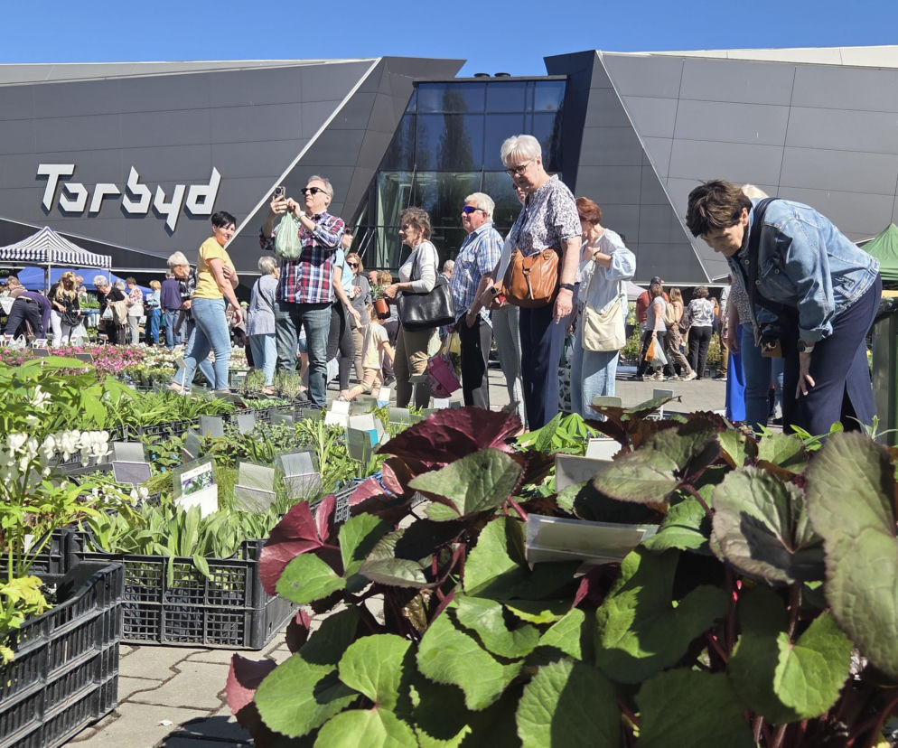 Bydgoszcz rozkwitła na nowo. Wiosenny Kiermasz Ogrodniczy przyciągnął tłumy