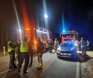 Nastolatek zginął w wypadku samochodowym w woj. lubelskim