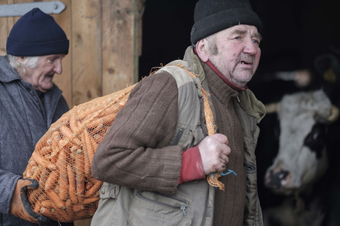 Rolnicy. Podlasie, odcinek 12 (czwarty sezon). Premiera w niedzielę 22.03.22