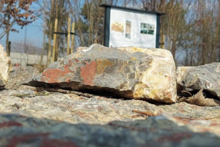 Atrakcja turystyczna w Świętokrzyskiem. Lapidarium w Łagowie 