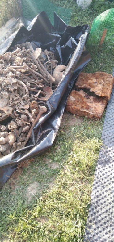 Żytna: Podczas zabawy w ogródku chłopiec wykopał ludzkie szczątki. Zobaczyli CZASZKI!