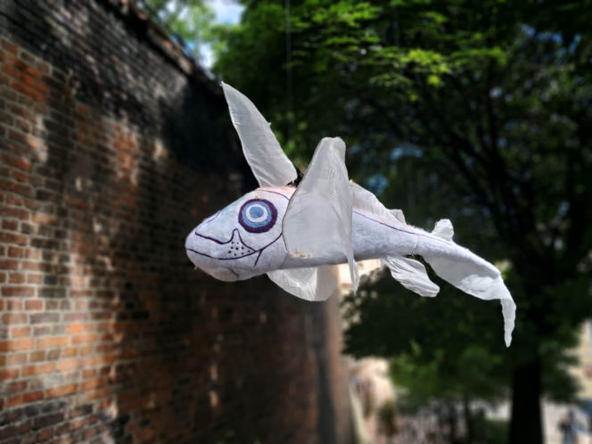 Lublin Noc Kultury 2026
