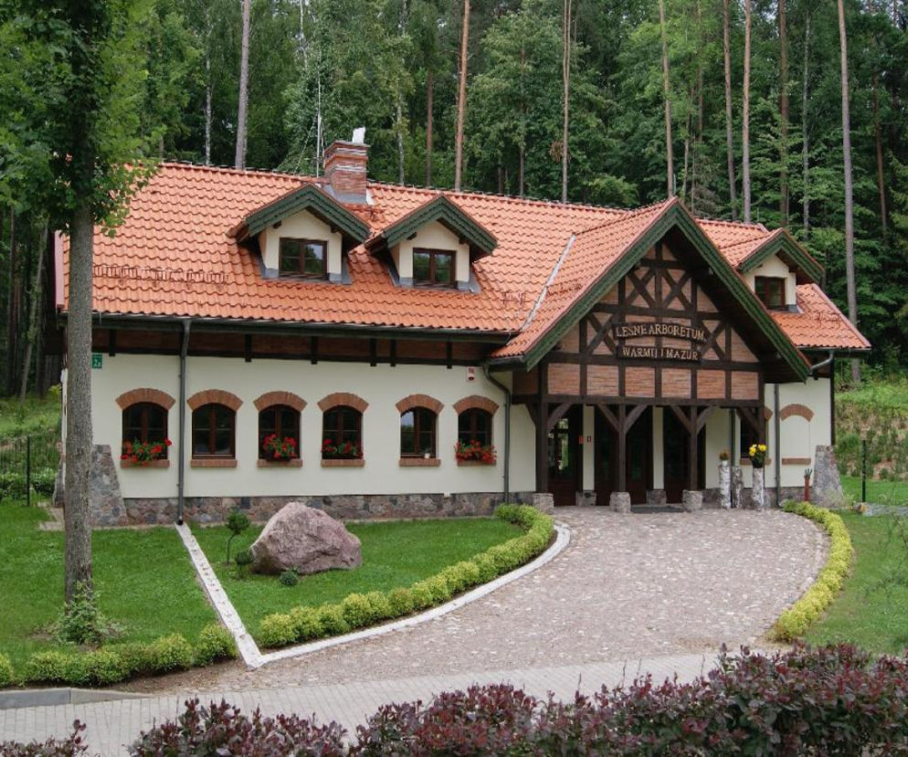 Leśne arboretum w nadleśnictwie Kudypy 