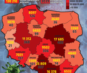 Koronawirus w Polsce. Statystyki, wykresy, grafiki (12 października)