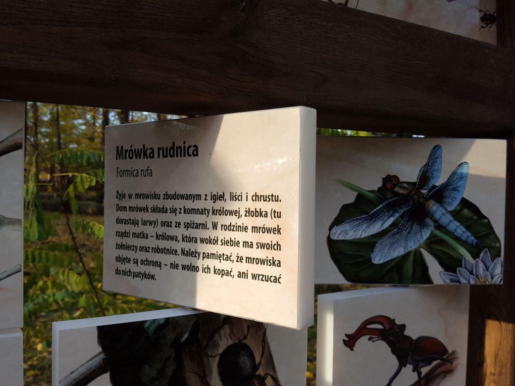 ​Statek dla dzieci w Parku Tysiąclecia w Lesznie odzyska dawny blask. Wymienią stare elementy placu zabaw, dołożą nowe