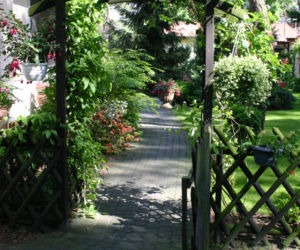 Pergola w ogrodzie