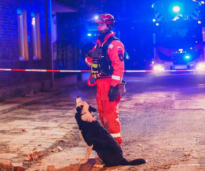 Ratował ludzi, pomagał strażakom. Max nie żyje! Zmarł tuż przed świętami 