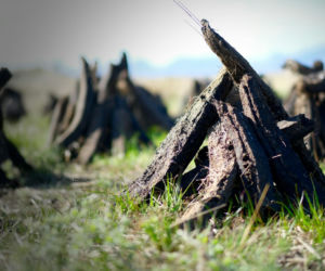 Warmińsko-mazurskie ma nowe rezerwaty przyrody