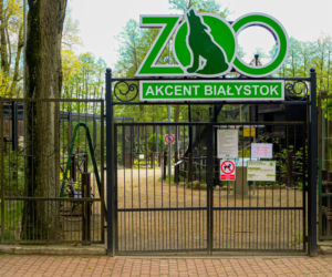 Akcent ZOO w Białymstoku