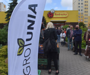 Nietypowy protest Agrounii. Rolnicy rozdawali ziemniaki w Toruniu