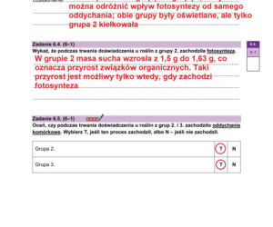 Matura 2026 biologia ROZSZERZONA: Arkusze CKE i odpowiedzi - sprawdź, czy zdałeś! 8.05.2026