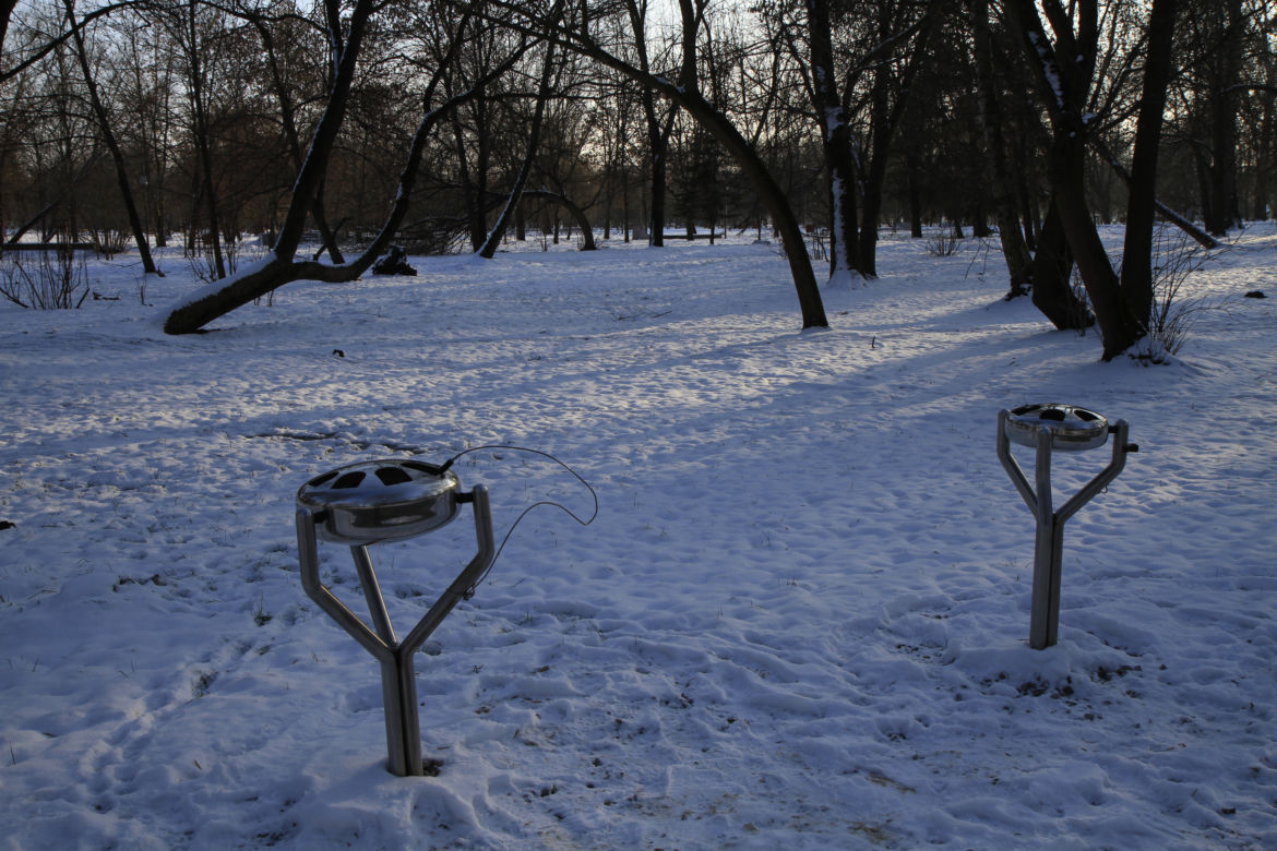 Park Ludowy w Lublinie oprószony śniegiem. Zobacz zdjęcia ze spaceru!