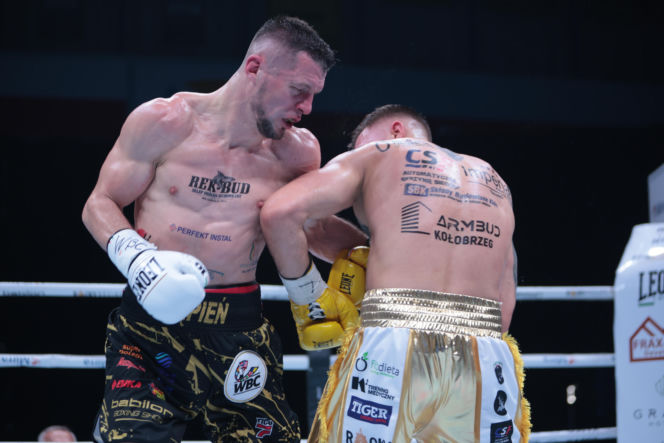 Kalinowski - Stępień