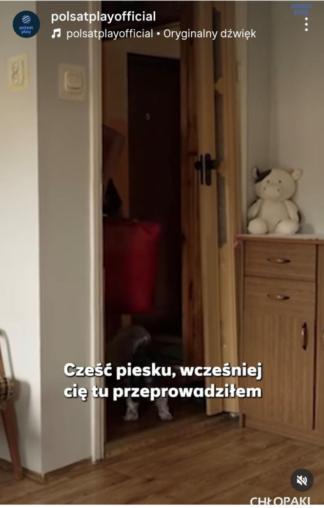 Tak teraz mieszka Jaruś z "Chłopaków do wzięcia". " Miasto nie chciało pomóc"