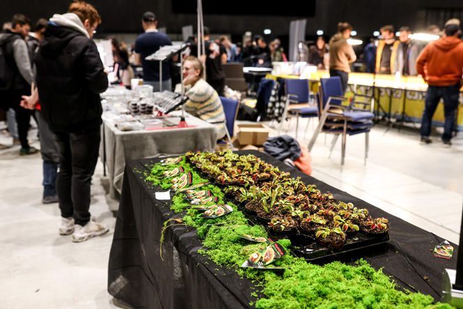 Targi egzotyki w Katowicach