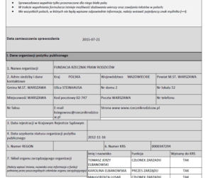Roczne sprawozdanie merytoryczne