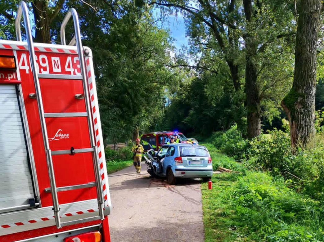 Młody kierowca wjechał w drzewo. 29-latek jechał bez pasów i prawa jazdy