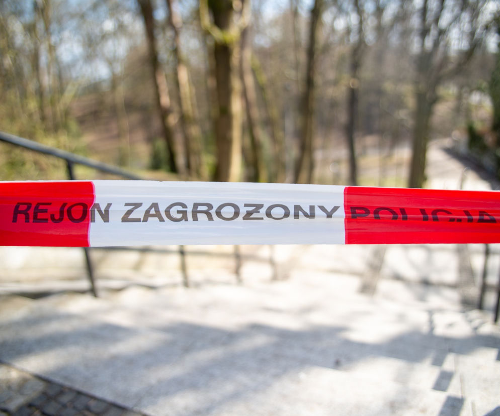 LUDZKIE SZCZĄTKI w Zamojskim Domu Kultury! MAKABRYCZNE odkrycie na budowie