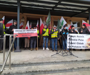Protest rolników w Rzeszowie. „Będziemy tracić z roku na rok”