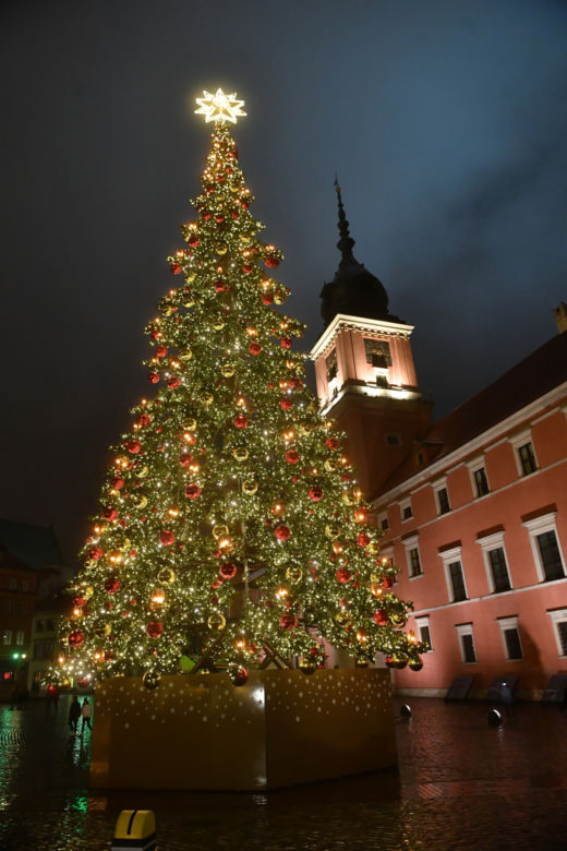 Choinka na Placu Zamkowym już świeci