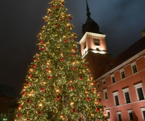 Choinka na Placu Zamkowym już świeci