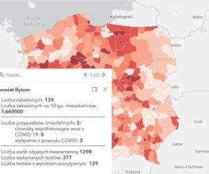 Koronawirus w województwie śląskim. Tak wygląda sytuacja w poszczególnych powiatach [RAPORT, 19 MARCA]