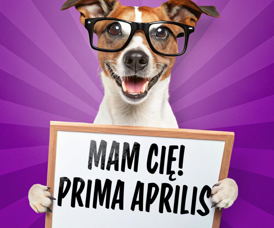 Kartki Prima Aprilis. Śmieszne obrazki na 1 kwietnia
