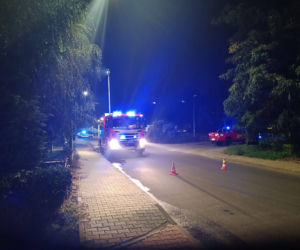 Dramatyczne sceny na Dolnym Śląsku. W pożarze mieszkania zginęła jedna osoba