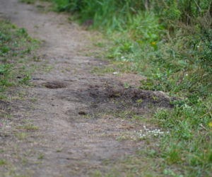 Chciał kupić rodzicom dom nad morzem. Nie zrobi tego, bo nie żyje. Na 18-letniego Dymytro spadł kocioł