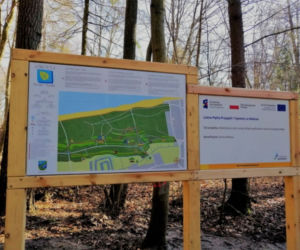 Leśna Pętla Przygód i Tajemnic w Mielnie 