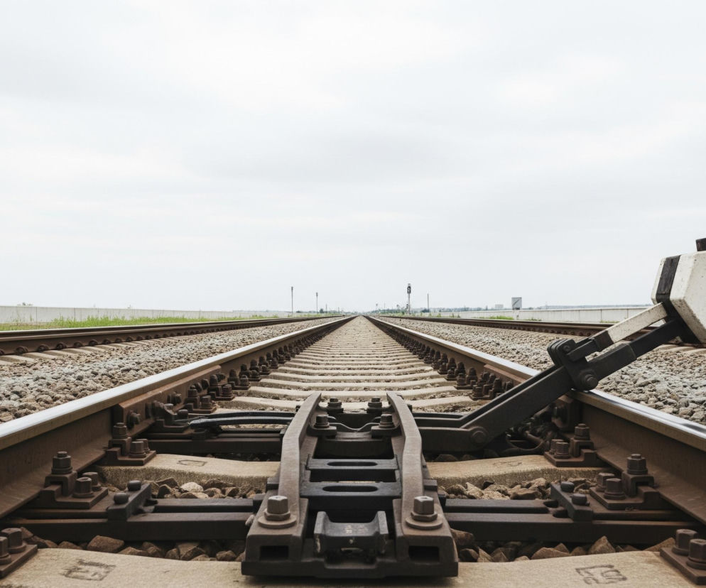 Dwa równoległe tory kolejowe rozciągają się w głąb perspektywy pod zachmurzonym, jasnym niebem, zbiegając się w odległym punkcie. Na pierwszym planie, po prawej stronie, znajduje się mechanizm rozjazdu kolejowego z jasną, białą dźwignią kontrolną z ciemnym elementem u góry, skierowaną w prawo. Szyny, podkłady i podsypka z kamieni wypełniają dolną część obrazu, a wzdłuż torów widoczna jest wąska linia zielonej trawy i betonowy mur.