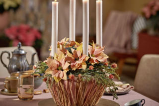 Świąteczne dekoracje stołu z poinsecją