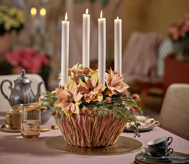 Świąteczne dekoracje stołu z poinsecją