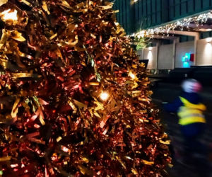 Iluminacje bożonarodzeniowe w Szczecinie