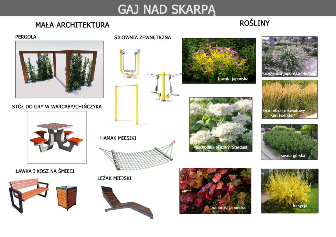 Gaj nad Skarpą