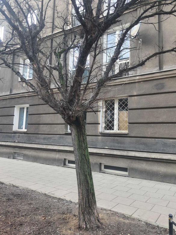 Ulica Stalowa. Po uprzątnięciu śniegu nadal widać jego resztki.
