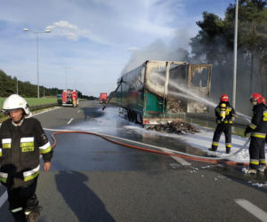 Naczepa tira poszła z dymem! Utrudnienia na A2 koło Konina [ZDJĘCIA]
