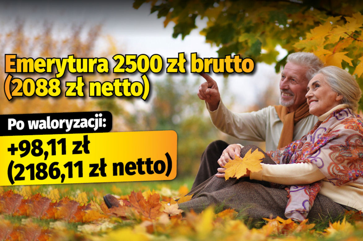 Polski Ład/waloryzacja 4,89