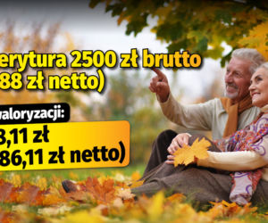 Polski Ład/waloryzacja 4,89