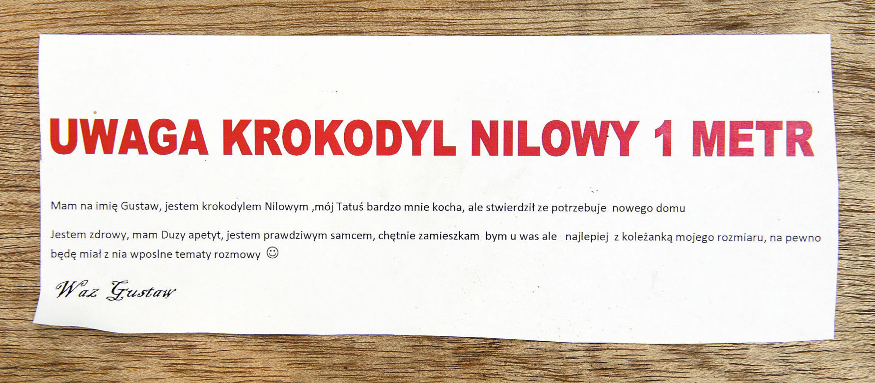 Wysłali mnie paczką do zoo