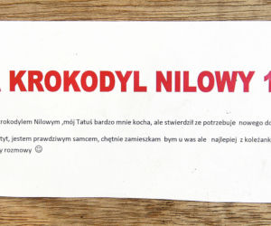 Wysłali mnie paczką do zoo