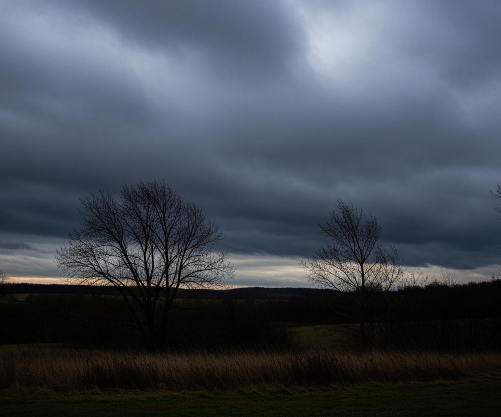 Ciemne, szare chmury rozciągają się po większości nieba, z jaśniejszymi fragmentami widocznymi w lewej górnej części. Na horyzoncie, pod chmurami, widać wąski pasek jaśniejszego, pomarańczowo-żółtego światła, sugerującego zachód lub wschód słońca. Na pierwszym planie i w środkowej części dominują ciemne sylwetki bezlistnych drzew i krzewów, tworząc wyraźne cienie na tle jaśniejszego nieba. Poniżej widoczne jest pole z suchą, brązową trawą, przechodzące w ciemniejszy, zielony obszar na samym dole.